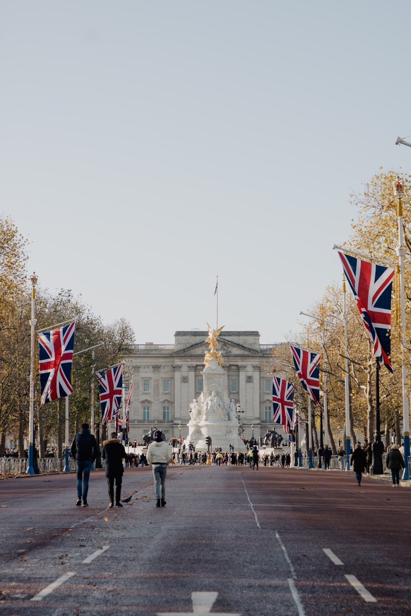 a group of people walking down a street with flags